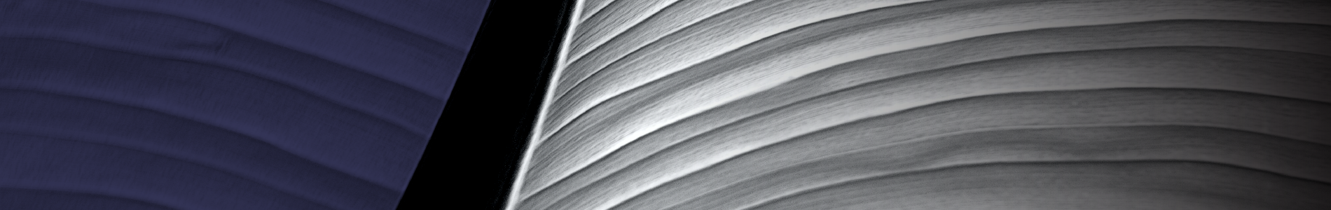 CAPA AGENDA-01